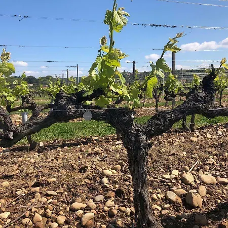 La Bonaventure Jezainville