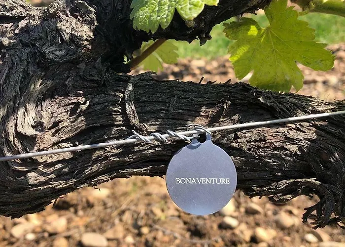 La Bonaventure Jezainville